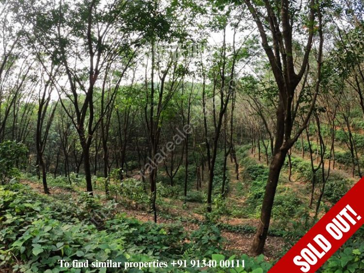First slide