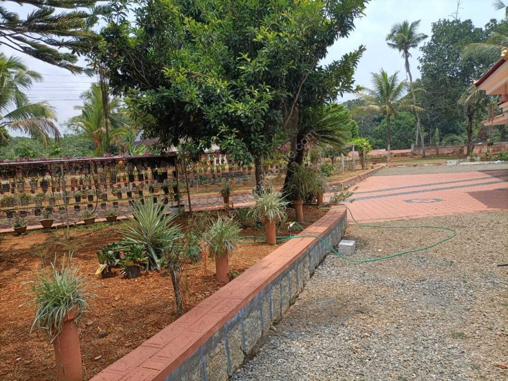 35 Cents of Land with 2500 Sq Ft House for sale in Pambady Town
