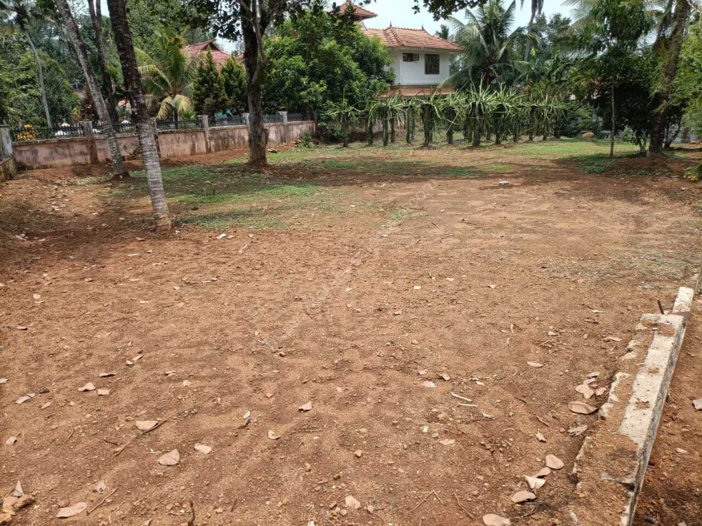 35 Cents of Land with 2500 Sq Ft House for sale in Pambady Town