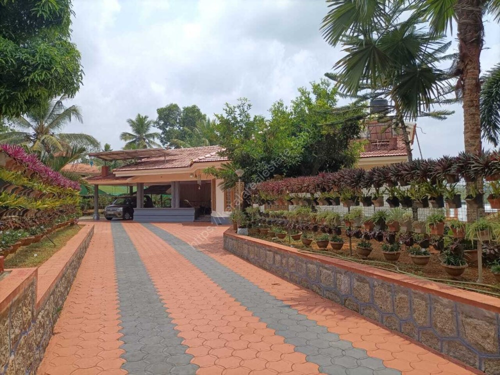35 Cents of Land with 2500 Sq Ft House for sale in Pambady Town