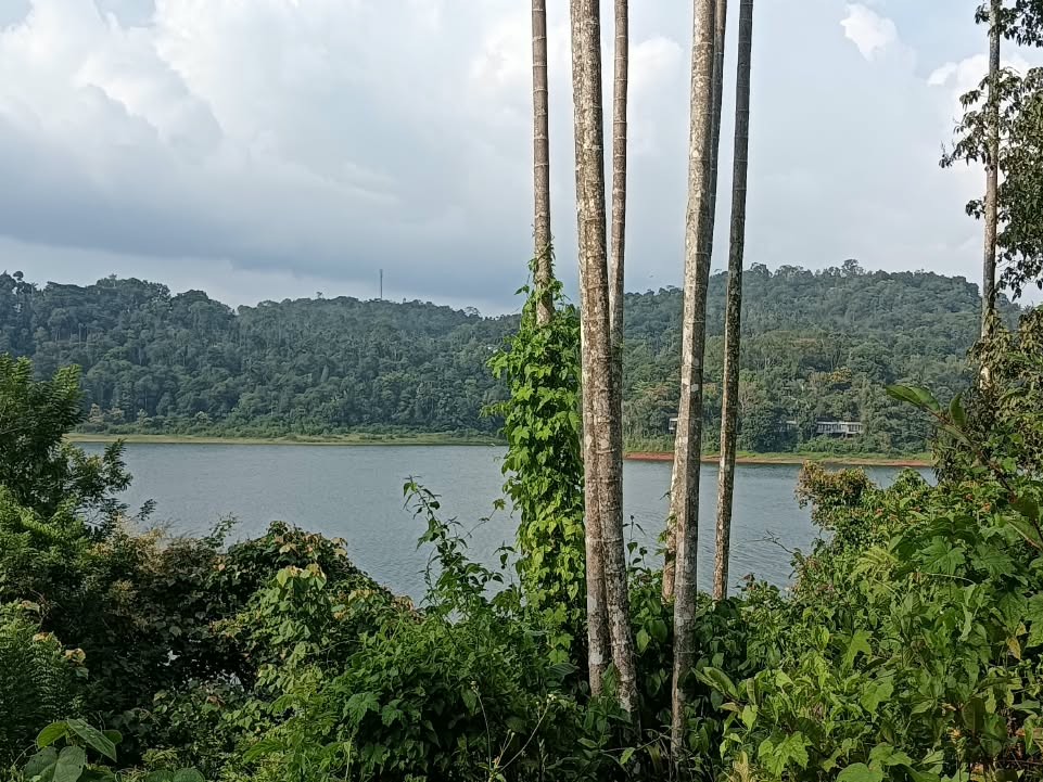 First slide