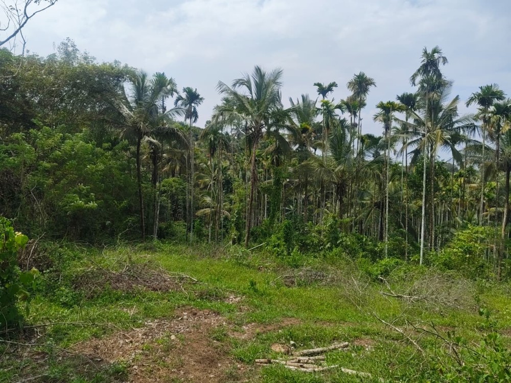 First slide
