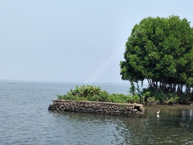 Waterfront Land for sale Near Vembanad Lake in Udayamperoor, Ernakulam