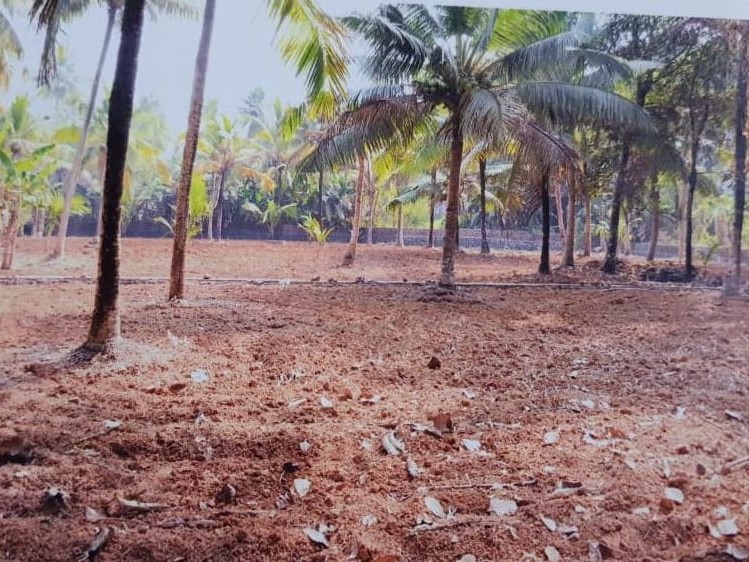 48 Cents of Residential Land (Purayidom) for Sale at Kurichi Outpost Junction, Kottayam