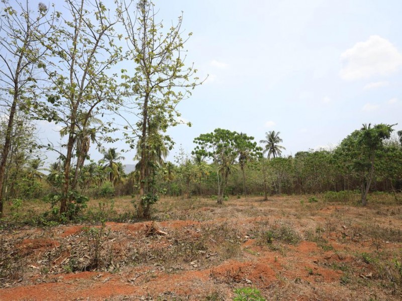 7 Acres of Residential Land for Sale at Ottapalam, Maniserry, Palakkad