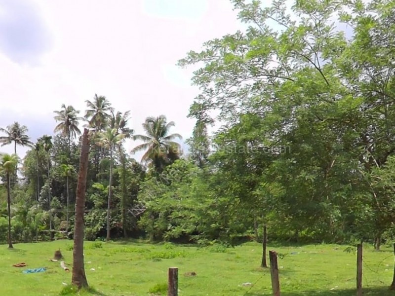 Land/ Plot for Sale in Karukutty, Angamaly, Ernakulam