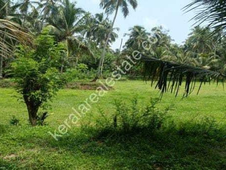 Land for Sale at Valamaruthur, Tirur, Malappuram
