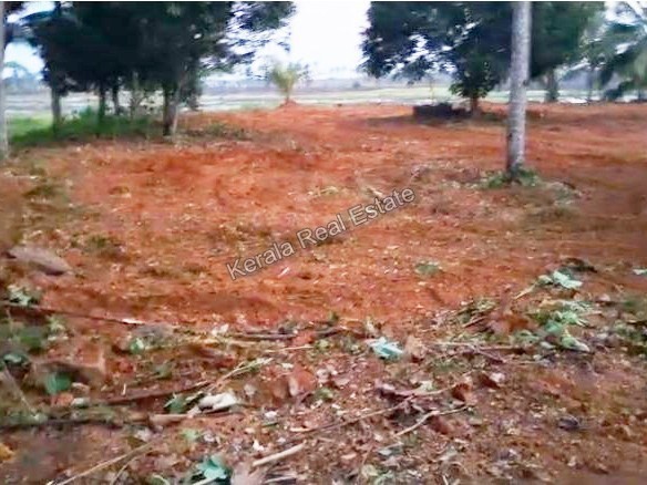 Land for Sale at Kallara, Kottayam