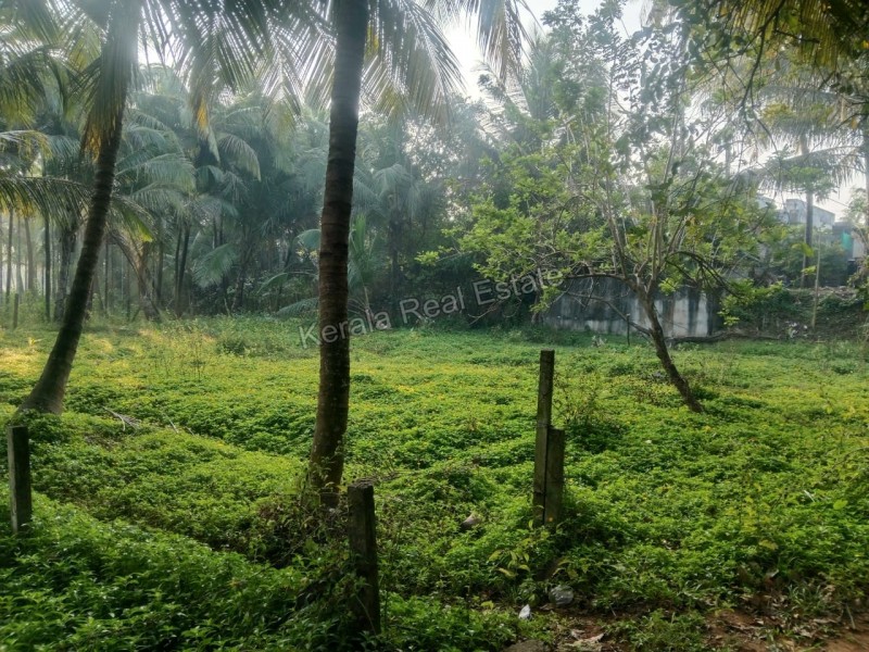 Land for sale at Vadakkencherry, Palakkad