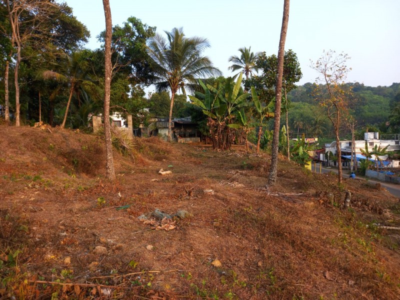 Land for sale in Angadical, Kodumon, Pathanamthitta