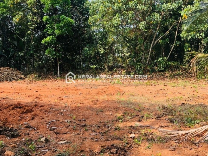 Land for Sale at Choorakode, Kizhakkambalam, Ernakulam