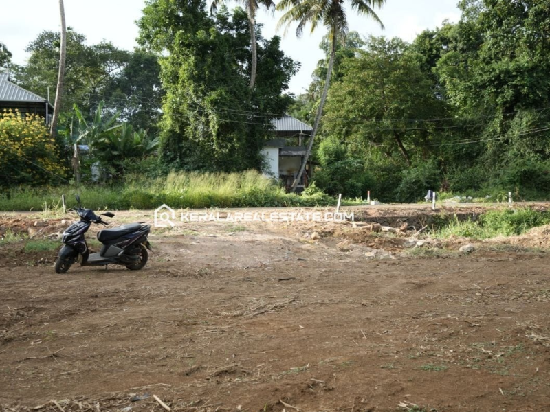 Waterfront Land for Sale in Nattassery, Kottayam