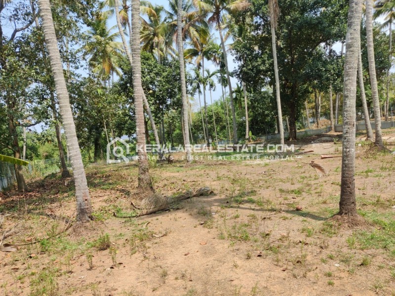 Waterfront Land for Sale at Mala, Thrissur