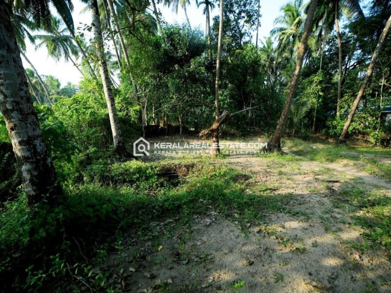 Land for Sale at Pavaratty, Thrissur