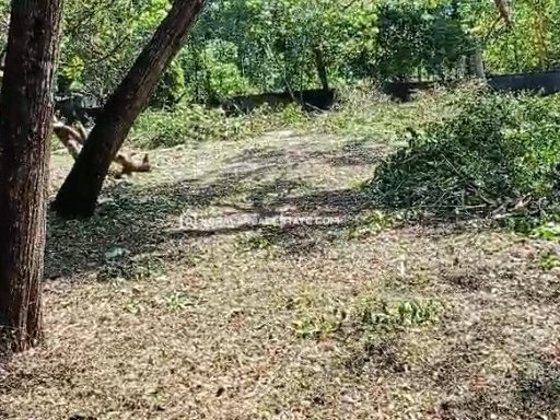 Land for Sale in Kalavoor, Alappuzha
