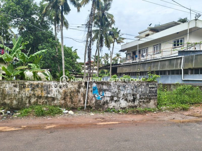 Land for Sale in Ramankulangara, Kollam