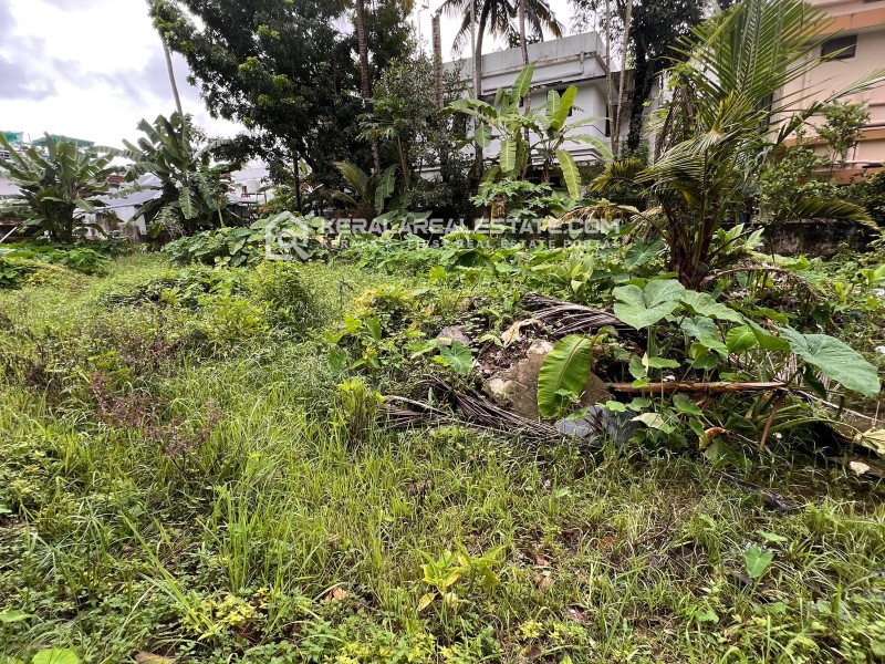 Land for Sale in Panampilly Nagar, Ernakulam 