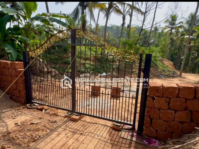Premium Plot for Sale in Mattannur, Kannur