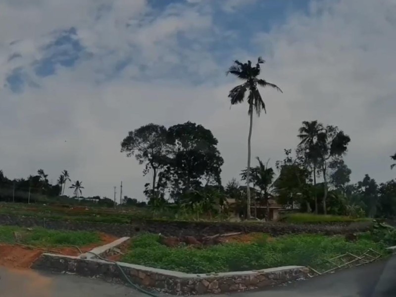 Independent Villa Plots for Sale in Chottanikkara, Ernakulam