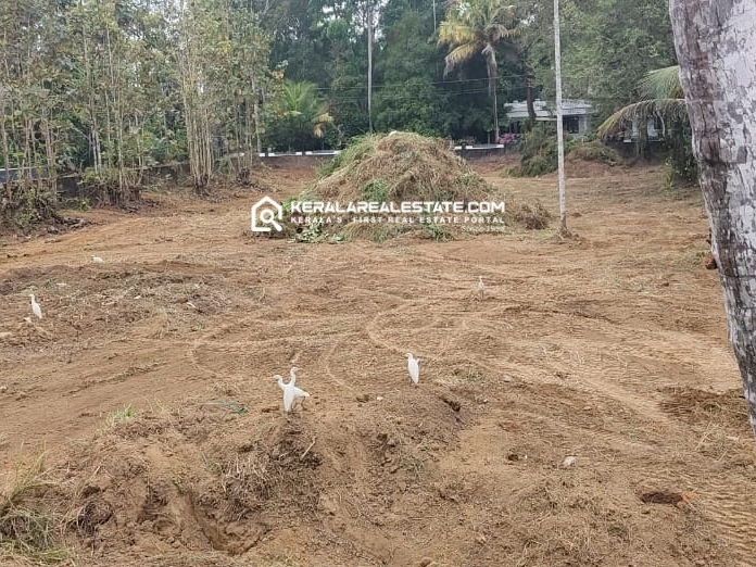 Road-Frontage Land for Sale in Athani, Ernakulam 
