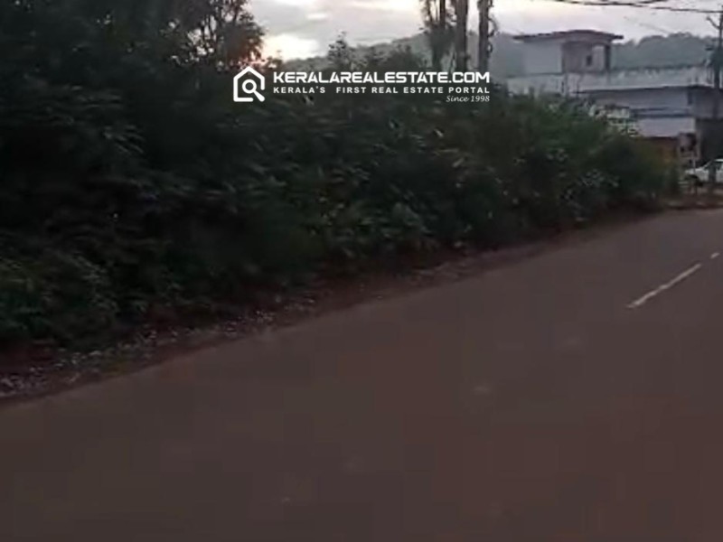 Prime Land for Sale in Anakkara (8th Mile) Kumily, Idukki 