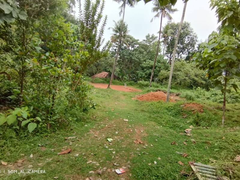 LAND FOR SALE AT KOTHAMANGALAM, ERNAKULAM