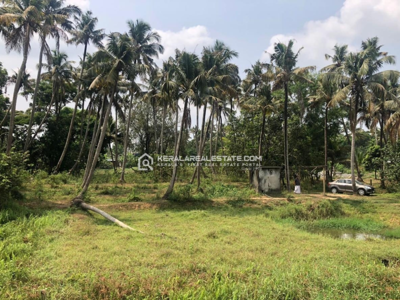 Prime Land for Sale in Cherpu, Thrissur