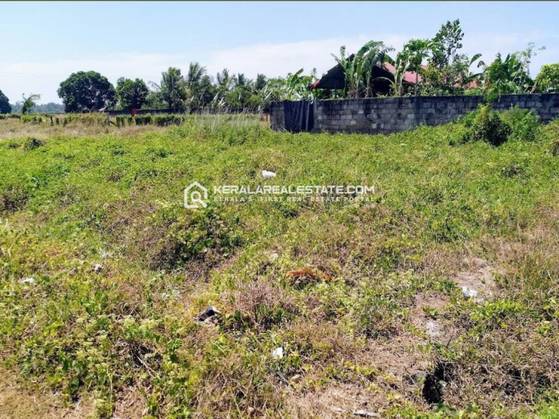 Prime Land for Sale in Peramangalam, Thrissur