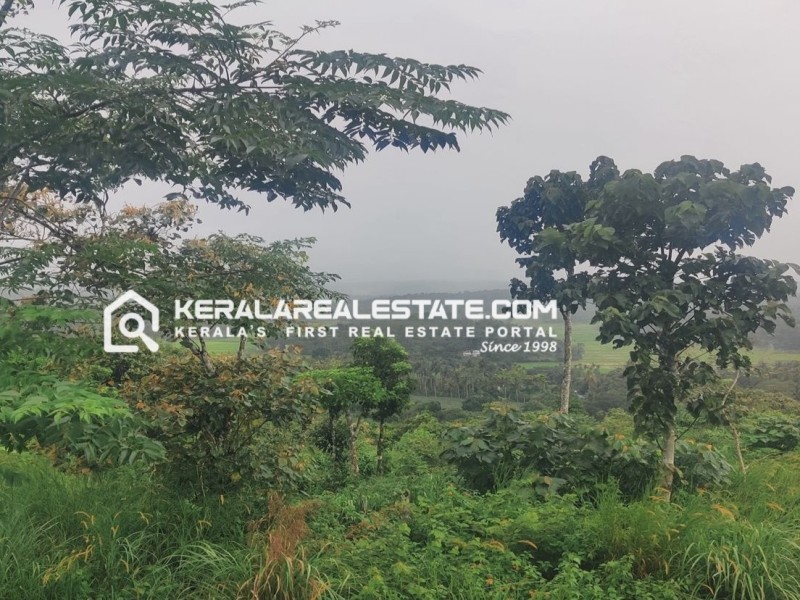 8 Acres of Land for Sale in Cherukattoor, Wayanad 