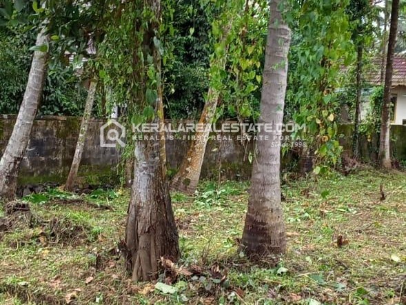  Land for Sale in Kalamassery, Ernakulam