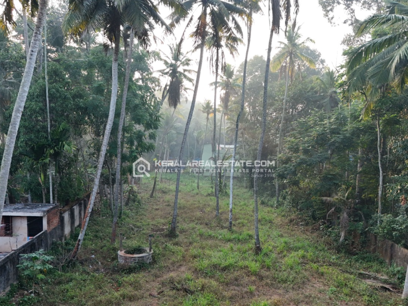 Land for Sale in Venganoor, Trivandrum