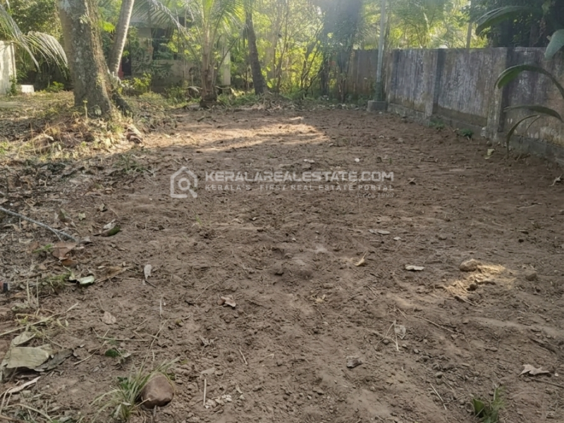Land for Sale in North Paravur, Ernakulam 