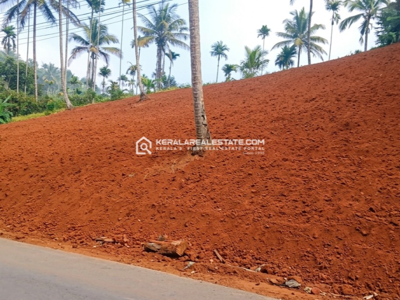 Premium Roadside Land for Sale in Pinangode, Wayanad