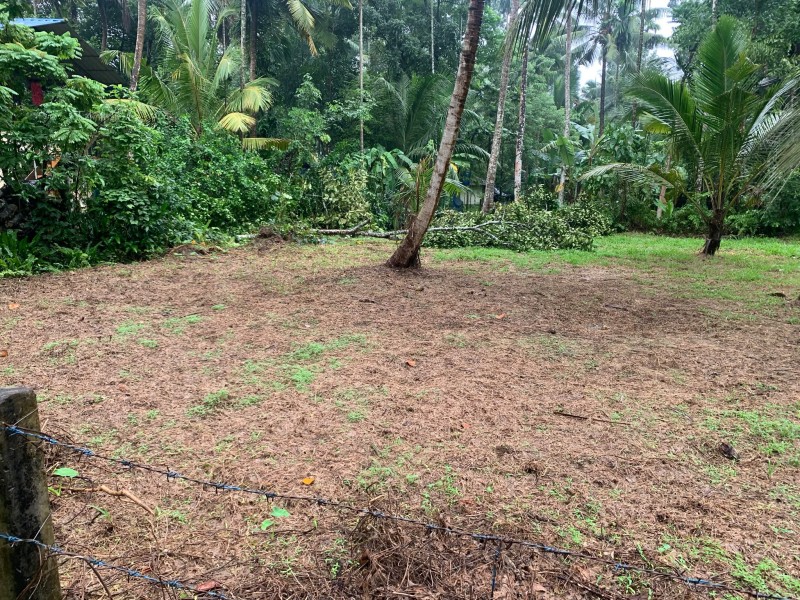 Land for Sale in Kulashekharamangalam, Vaikom, Kottayam