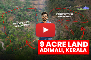 Land for Sale at Adimaly, Near Munnar, Idukki