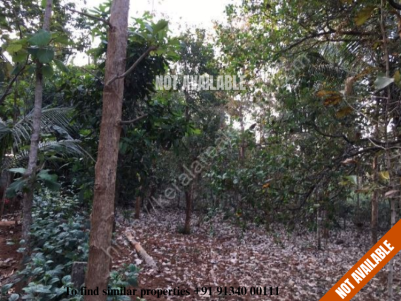 Residential land for sale at Palappuram,Palakkad