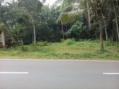 2 Acre 94 Cents Land for Sale at Ernakulam NH Bypass Road Frontage