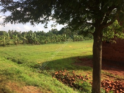3.5 Acre Land for sale  near Cochin International Airport, Ernakulam