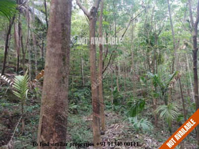 Commercial and Agricultural land for sale at Alakode, Kannur