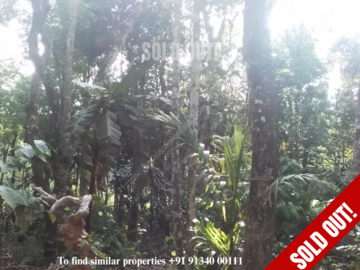 Residential plot for sale at Kenichira, Wayanad