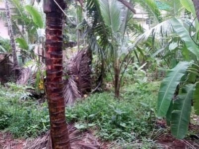 Residential  Land With House for sale at Kozhikode