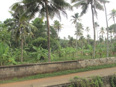 Water frontage land for sale at Kaduthuruthy Town, Kottayam