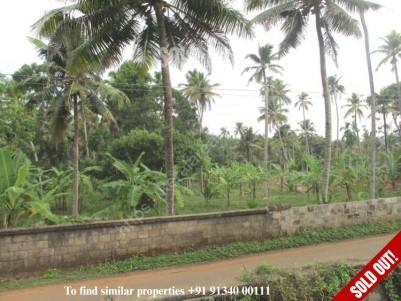 Water frontage land for sale at Kaduthuruthy Town, Kottayam