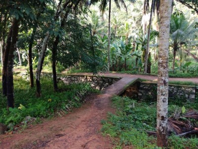 1.25 Acres of Rubber plantation for sale at Kachani, Bhagavathipuram, Trivandrum