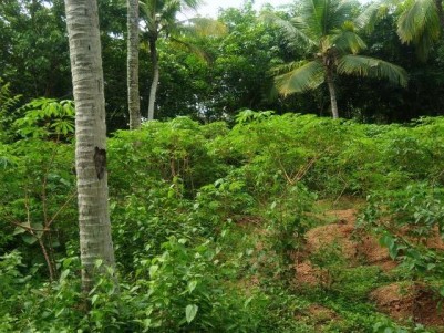 Residential Land for Sale at Near Vazhimukku, Balaramapuram, Trivandrum