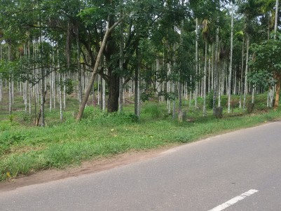 1 Acres of Arecanut Plantation for sale at Kalpetta, Wayanad