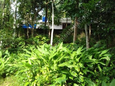 15 Cent Residential Land for Sale at Kaduthuruthy, Kottayam