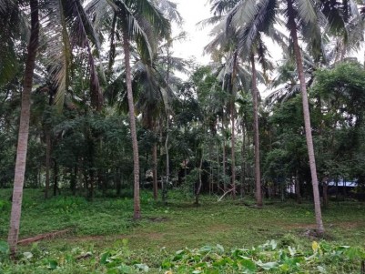 30 Cents of Residential land for sale at Perinthalmanna, Malappuram