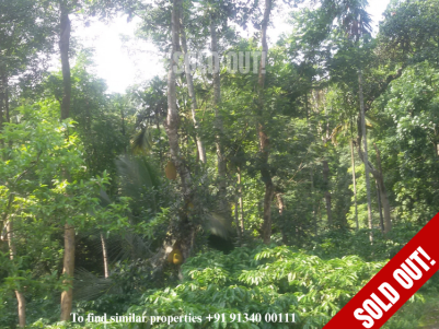 11 Acres of Agricultural / Resort land for sale at Ambalavayal, Wayanad.