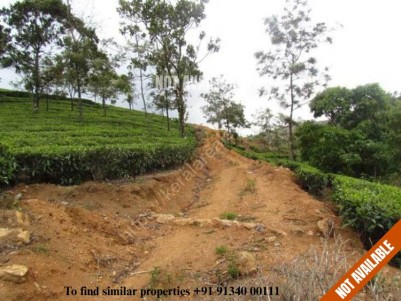 15 Acres of Agricultural land for sale at Vagamon, Idukki